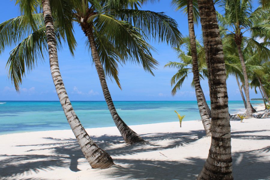 Excursión a Isla Saona desde Punta Cana (Clásica)
